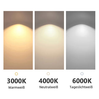 Arisha Modern LED Deckenleuchte Schwarz Metall Ess/Wohnzimmer-Purlicht